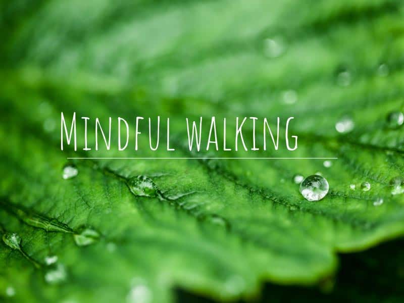 Mindful walking