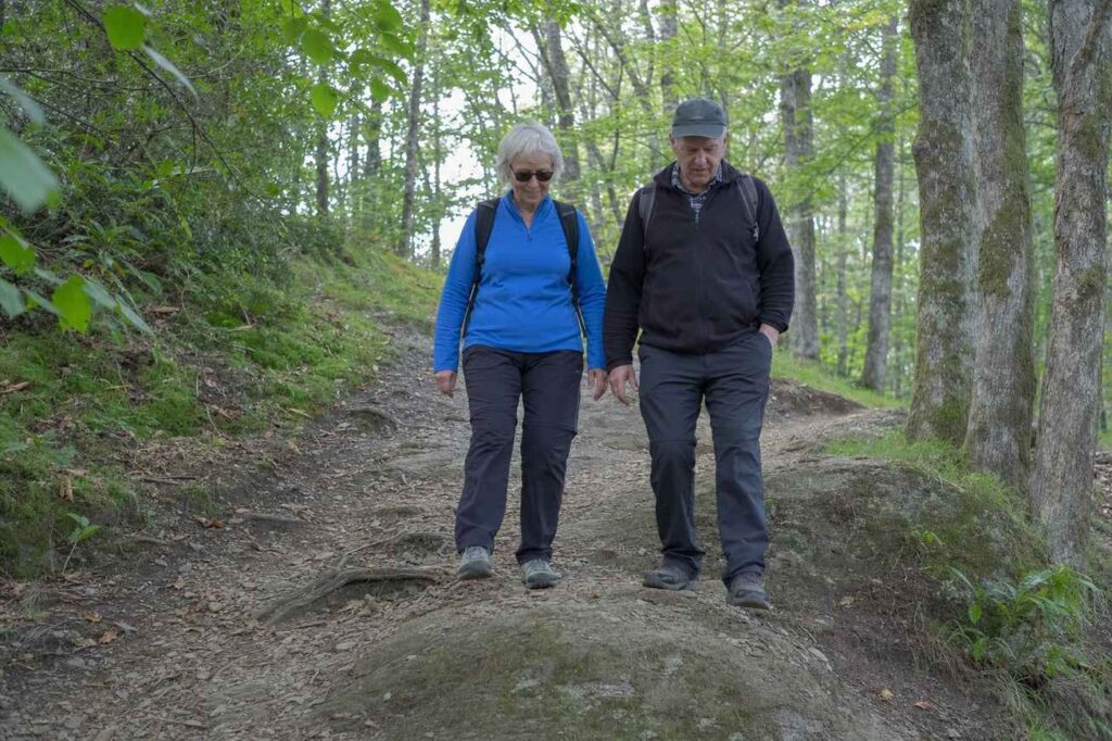 An older couple walking carefully along an easy wooded dirt trail with roots and dappled light