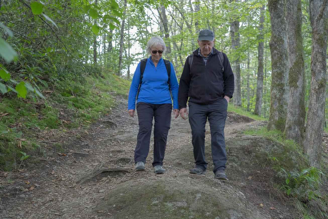 An older couple walking carefully along an easy wooded dirt trail with roots and dappled light